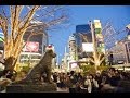 Japan Shibuya Station Tokyo Hachikō Statue