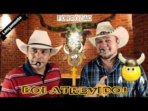 Lançamento (REMÉDIO BOM É CACHAÇA) - FORROZÃO - Os Caipira Top