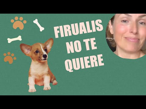 AGENDA 2030 Y LOS ANIMALES
