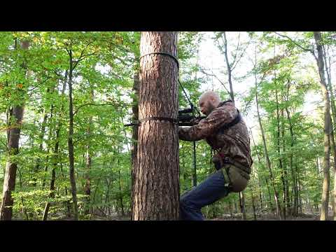 Saddle Jagd - Schießen aus dem Tree Saddle