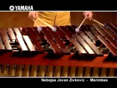 Nebojsa Jovan Zivkovic and the Yamaha Marimbas