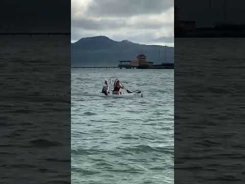 Mito Duo arrives in Auckland