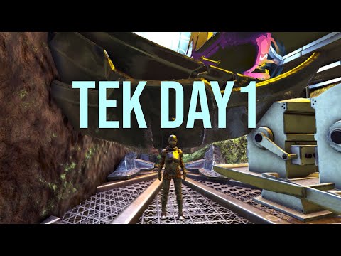 HOW WE GOT TEK DAY 1 Ark Survival evolved