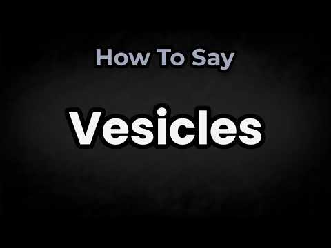 How To Pronounce Vesicles? (CORRECTLY) Meaning & Pronunciation
