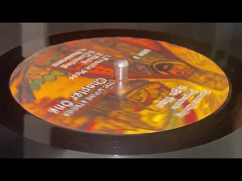 NGA HAN ~ Frantic Mess