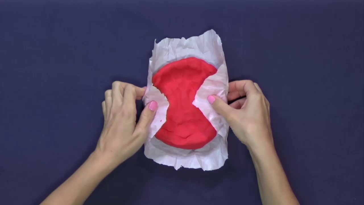 סרטון תאי הדם והנימים