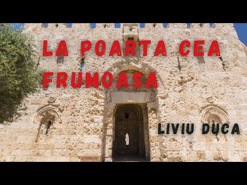 ✨ La poarta cea frumoasa | Cover Liviu Duca