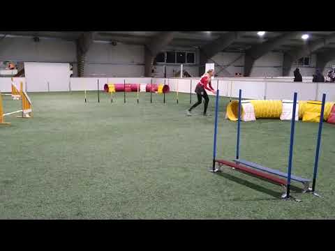 Myrran S3 aksa. 23.2.2019. Ojanko. Petteri Kermainen. HYL