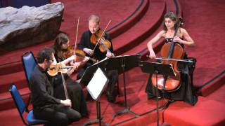 Carducci String Quartet performs Beethoven String Quartet No.6 in B-flat Major, Op.18  Mvt II