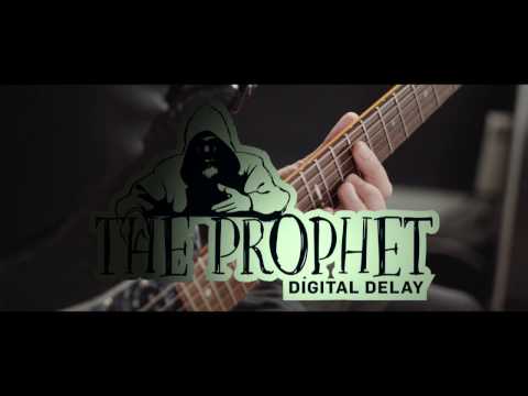 The Prophet Digital Delay - official product video