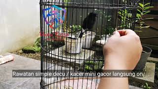 Download lagu Rawatan decu santa gacor siap tinggal kerja mp3 Download lagu Rawatan decu santa gacor siap tinggal kerja mp3
