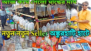 নতুন নতুন Seller Ankurhati হাটে | Howrah Ankurhati Pet Market | Ankurhati Fish Market | Ankurhati 