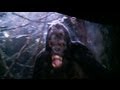 King Kong 360 3D Universal Studios Full Ride HD POV