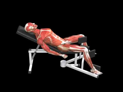 Lying Hip Adduction (Lever)