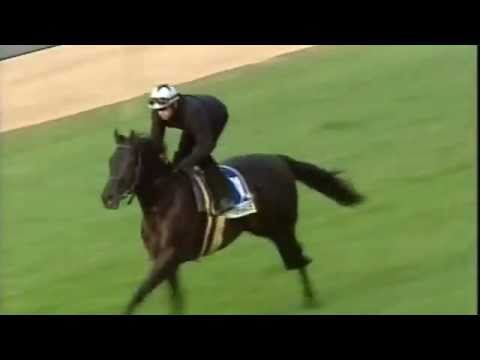 DURBAN JULY GALLOPS 2011 - THE APACHE