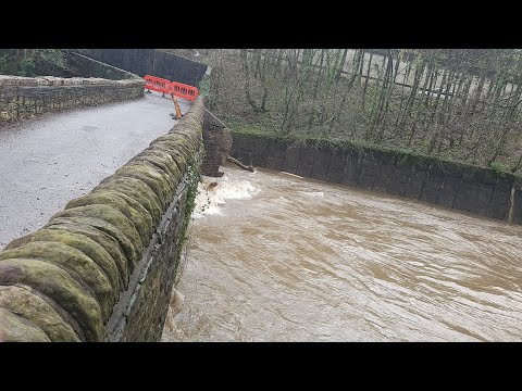 Storm Dennis - Tree Trunk pushed up THROUGH a bridge in Pontymister, South Wales