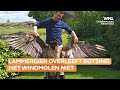 Lammergier dood na botsing met windmolen: 'Niet het laatste ongeluk'