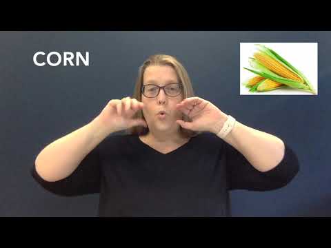 How to Sign Large in Auslan