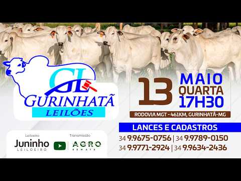 LEILÃO DE CORTE - GURINHATÃ LEILÕES 13/05/2026 - AGROREMATE