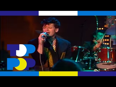 Herman Brood & His Wild Romance - Babies • TopPop