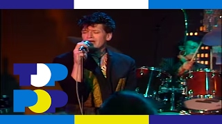 Herman Brood &amp; His Wild Romance - Babies • TopPop