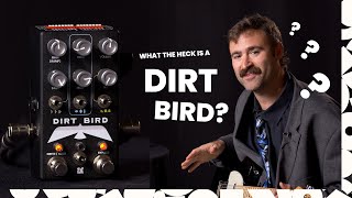 Video thumbnail for Dirt Bird – Technical Demo by chase bliss