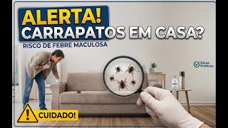Como ELIMINAR CARRAPATOS de Casa Rapidamente (Guia Definitivo)