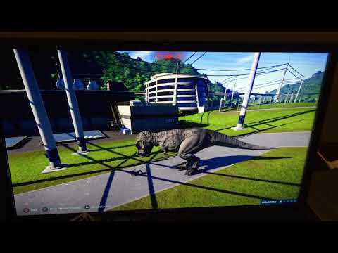 All carnivores eating humans part1