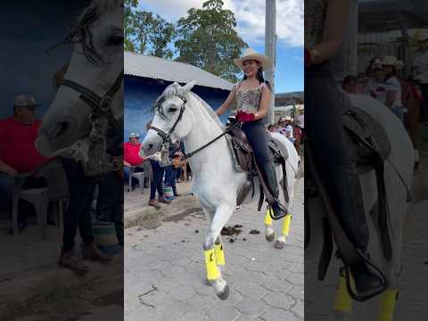 Hípicas el Sauce - León 🦁 2026.