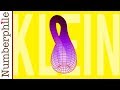 Klein Bottle