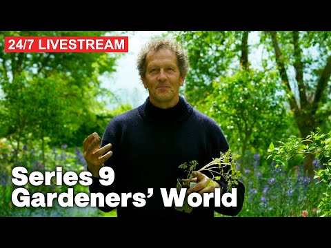🔴  Gardeners' World with Monty Don | Series 9 | Full Episodes | 24/7 Livestream