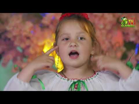 Plăcintă Melina - Foicică de cicoare (DoReMi-Show)