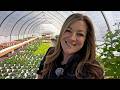 Windy Day Planting Projects Garden Answer