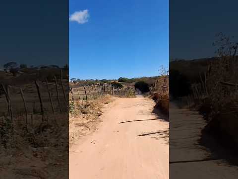 às lindas imagens do sítio minadoro Tavares PB sertão nordestino!