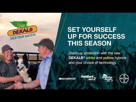 Brand new DEKALB® hybrids 2024!