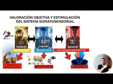Raúl Mocholí Hortelano-1