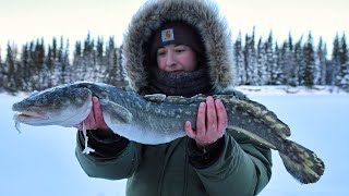 Burbot or Bust | Set Lines on the Frozen River