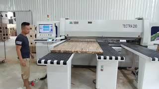 MÁY CẮT VÁN CÔNG NGHIỆP PANEL SAW CNC HOLZTEK TECTRA-280 Tại Hưng Yên