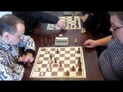 Коха ладейник блиц