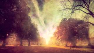 ★ ShockLine Scy ★