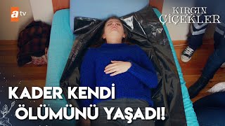 Download lagu Kader kendi ölümünü gördü! | Kırgın Çiçekler mp3