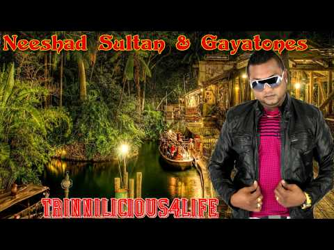 Neeshad Sultan & Gayatones - Aaj Sawaliya [Remix] 2014 Brand new release