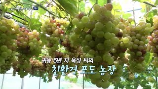 [나는농부다 212회 예고] 열정 농부 옥성 씨의 금지옥엽 친환경 포도