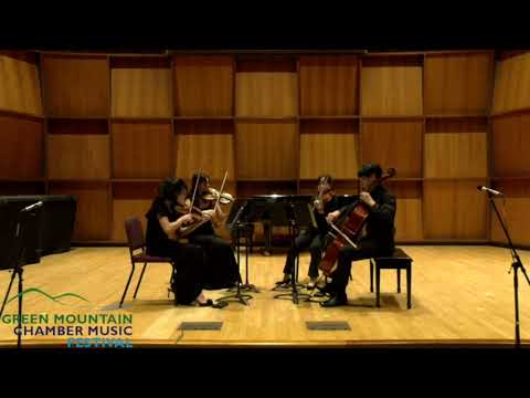 Promotional video thumbnail 2 for Mana Violin — Weddings & Events