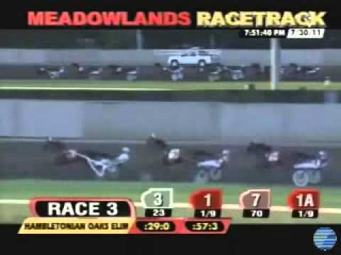 Hambletonian Oaks 1st Heat 2011 -Crys Dream