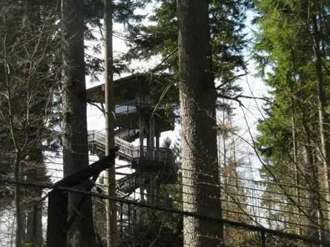 Tierfreigelände Falkenstein