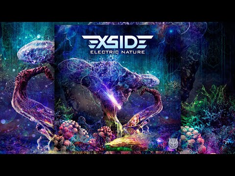 X-Side - Electric Nature