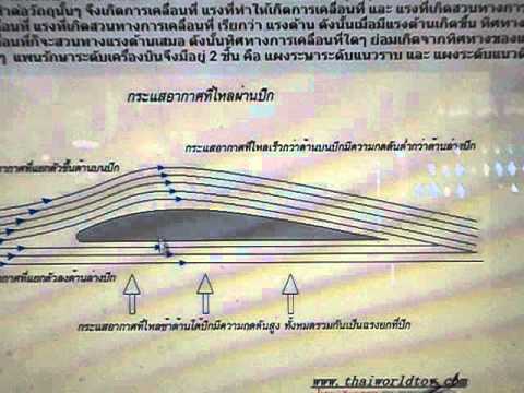 นม thistle และความแข็งแรงชาย แรง est Sienese