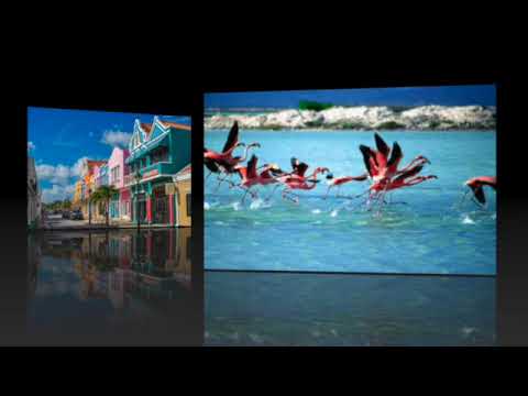 Thumbnail for The GROUP Cruise 2022 Promo