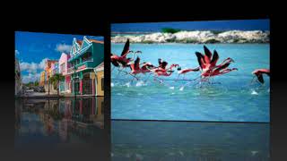 The GROUP Cruise 2022 Promo